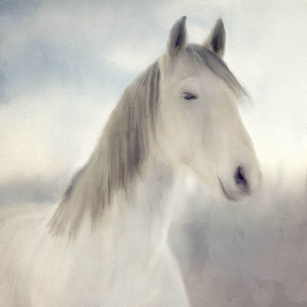 Serene art print by Kimberly Allen for $57.95 CAD