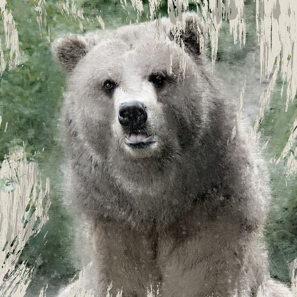 Wildlife 1 art print by Kimberly Allen for $57.95 CAD