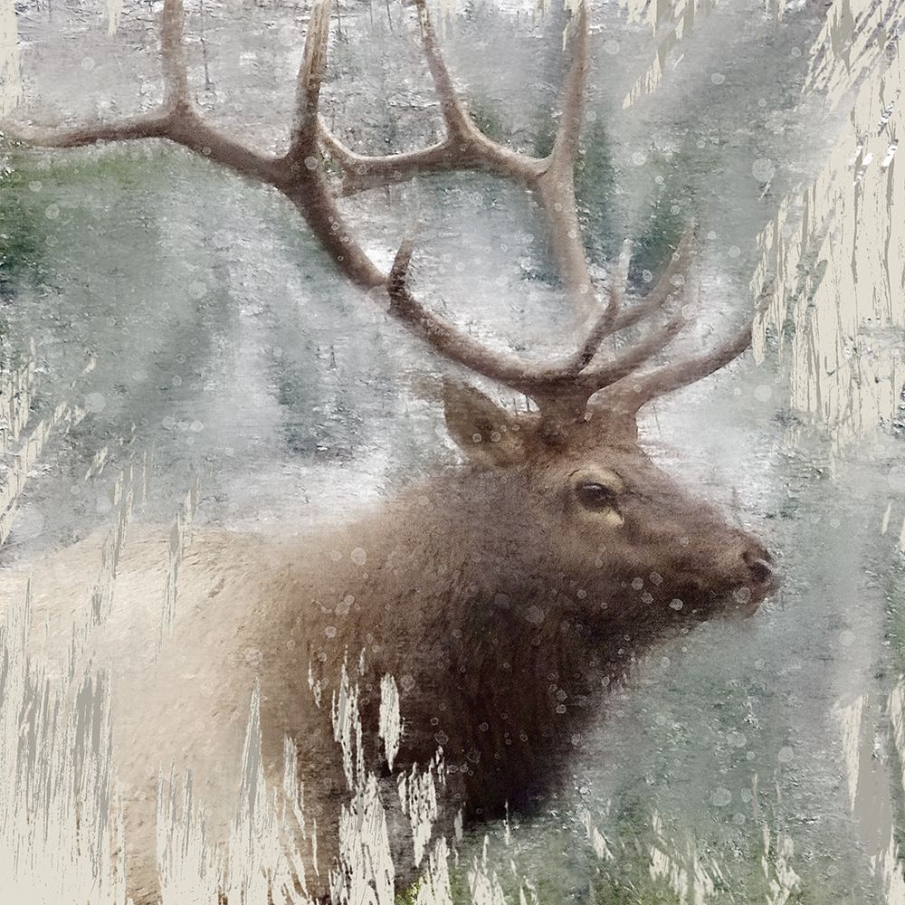 Wildlife 2 art print by Kimberly Allen for $57.95 CAD
