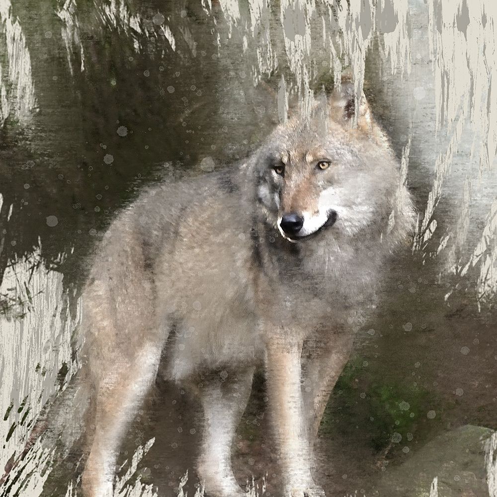 Wildlife 3 art print by Kimberly Allen for $57.95 CAD