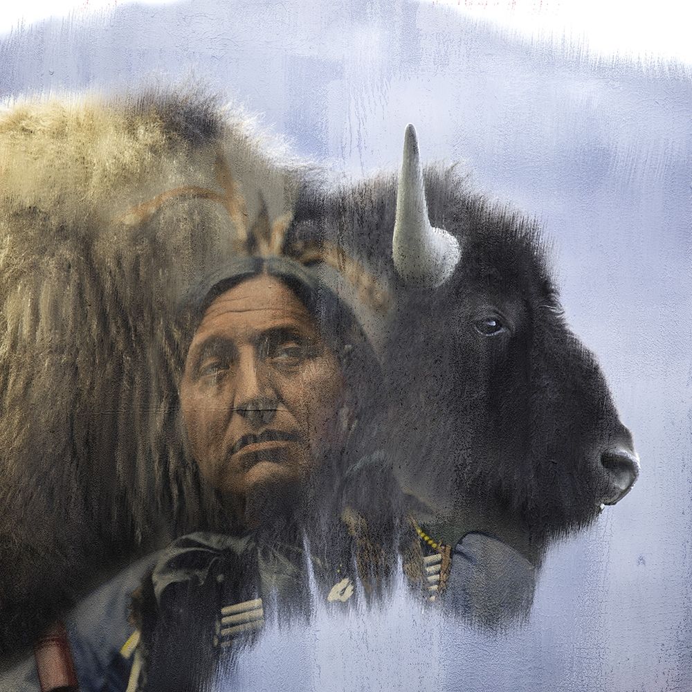 Chief art print by Kimberly Allen for $57.95 CAD