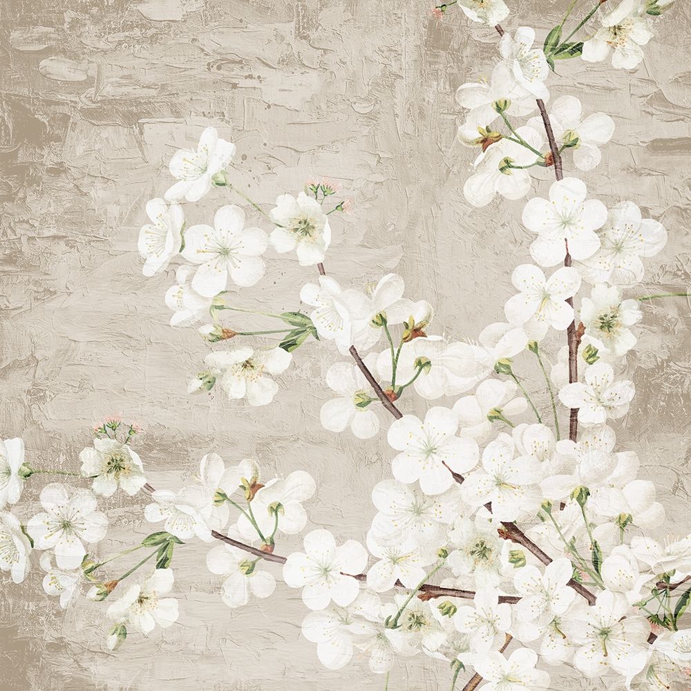 Blossoms art print by Kimberly Allen for $57.95 CAD