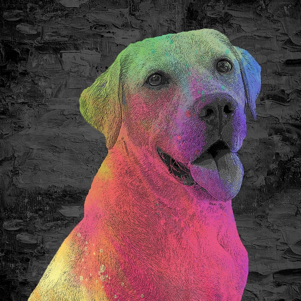 Lab art print by Kimberly Allen for $57.95 CAD