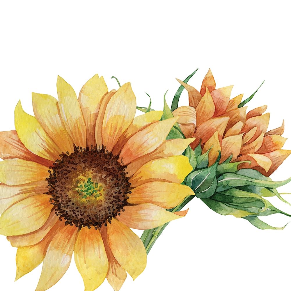 Sunflower Postcard 1 v2 art print by Kimberly Allen for $57.95 CAD