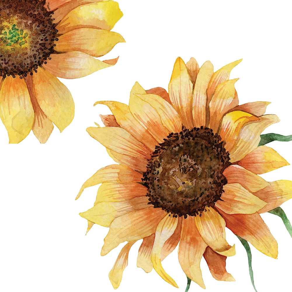 Sunflower Postcard 2 v2 art print by Kimberly Allen for $57.95 CAD