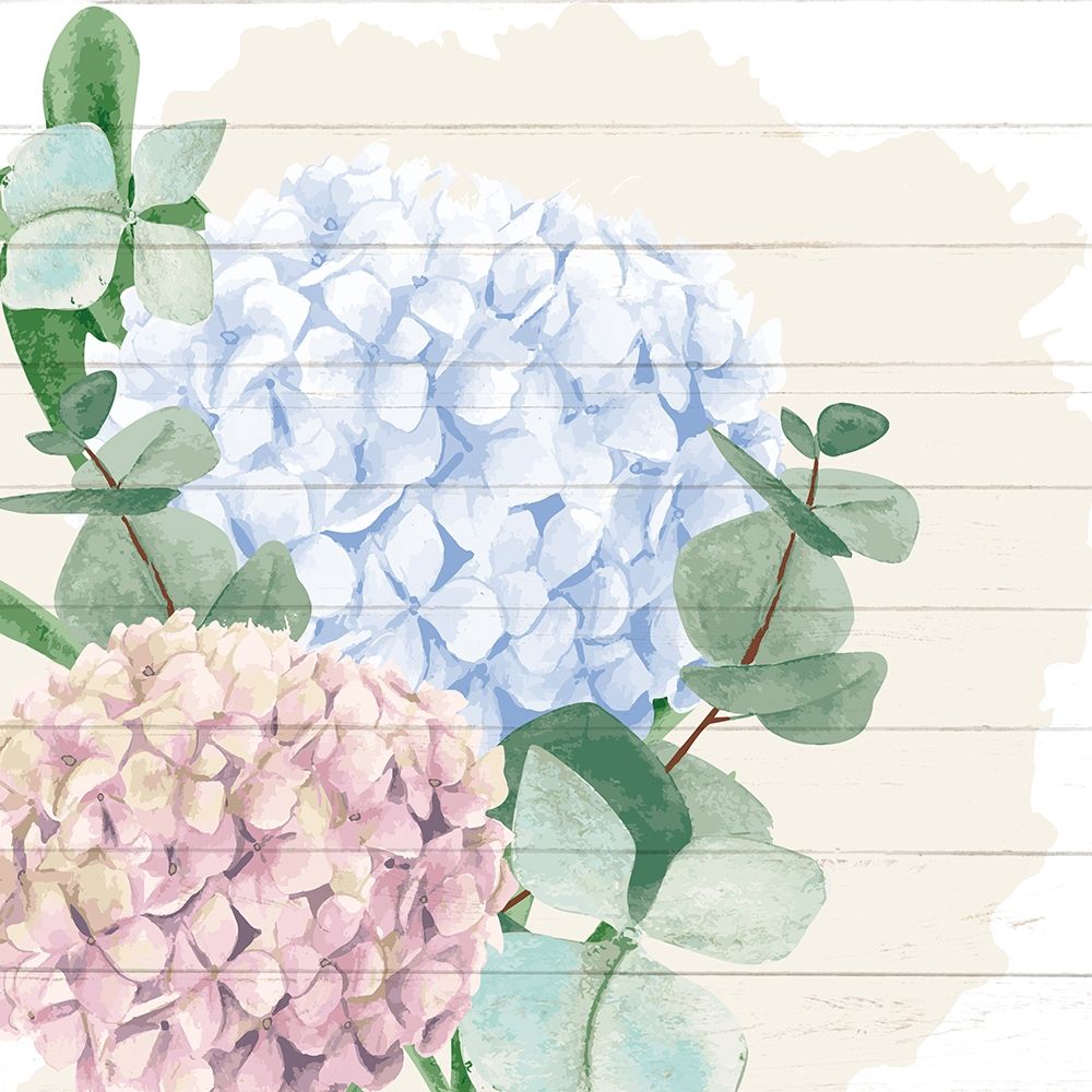 Hydrangea 1 art print by Kimberly Allen for $57.95 CAD