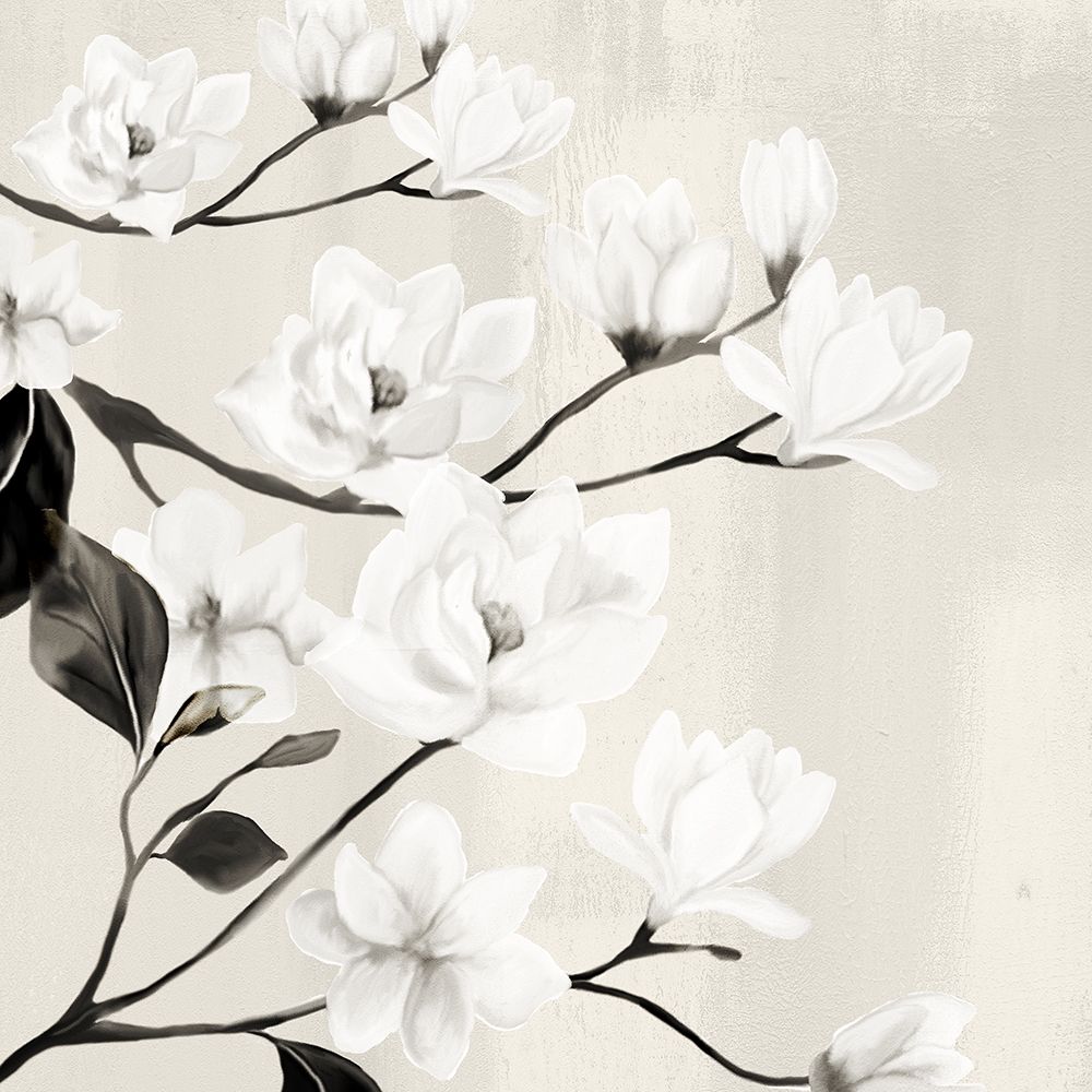 Magnolias art print by Kimberly Allen for $57.95 CAD