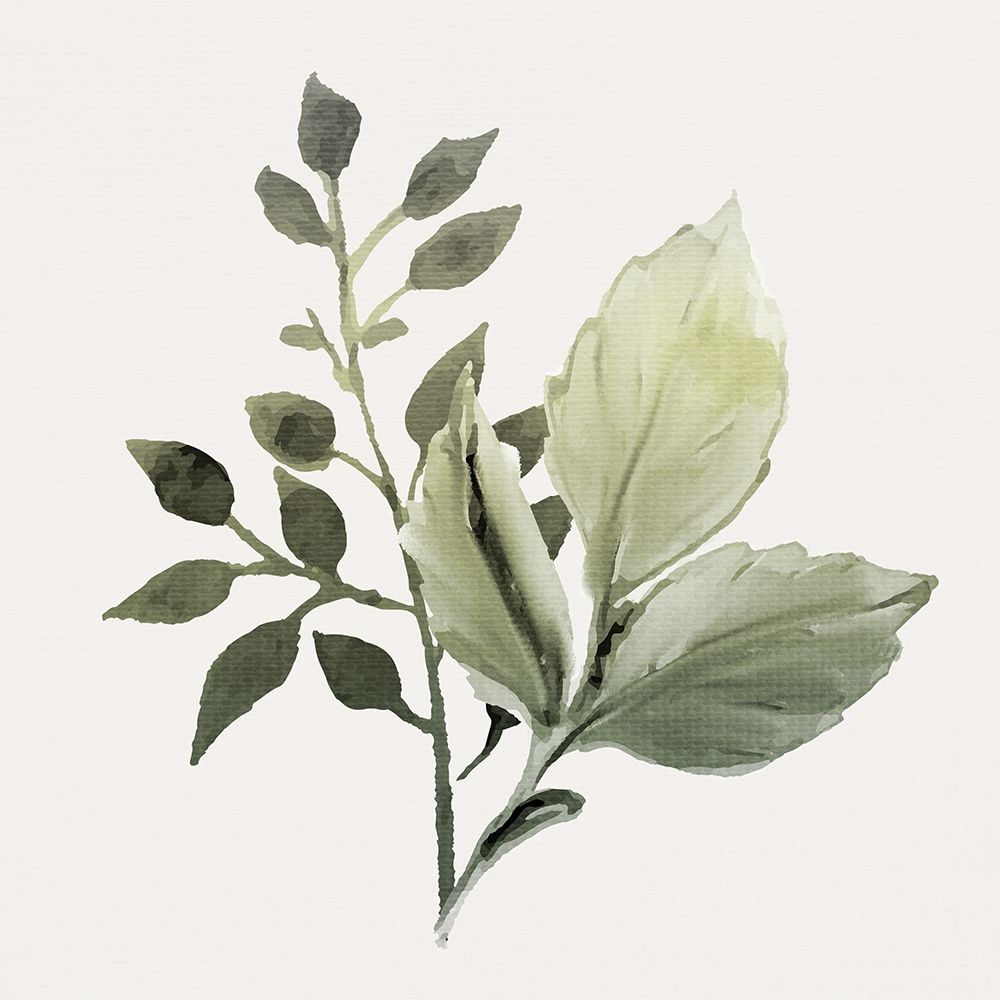 Watercolor Sage 2 art print by Kimberly Allen for $57.95 CAD