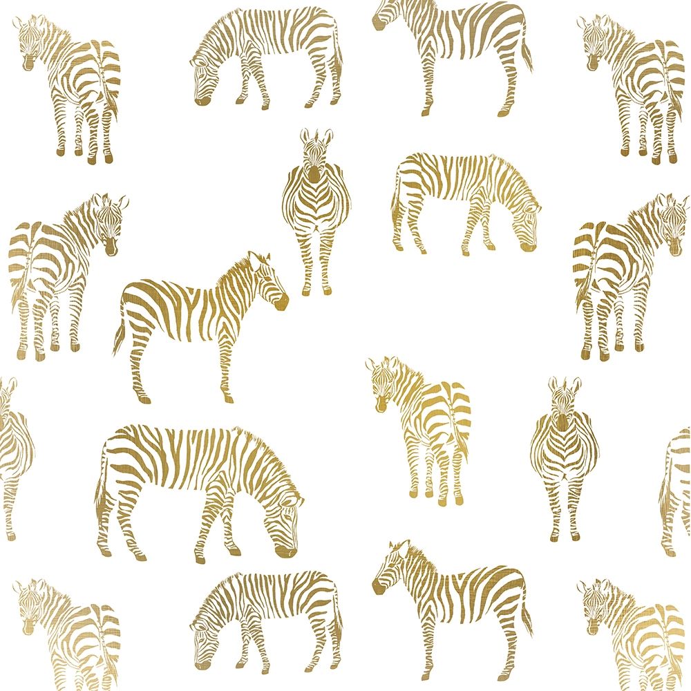 Zebra Zebra art print by Kimberly Allen for $57.95 CAD