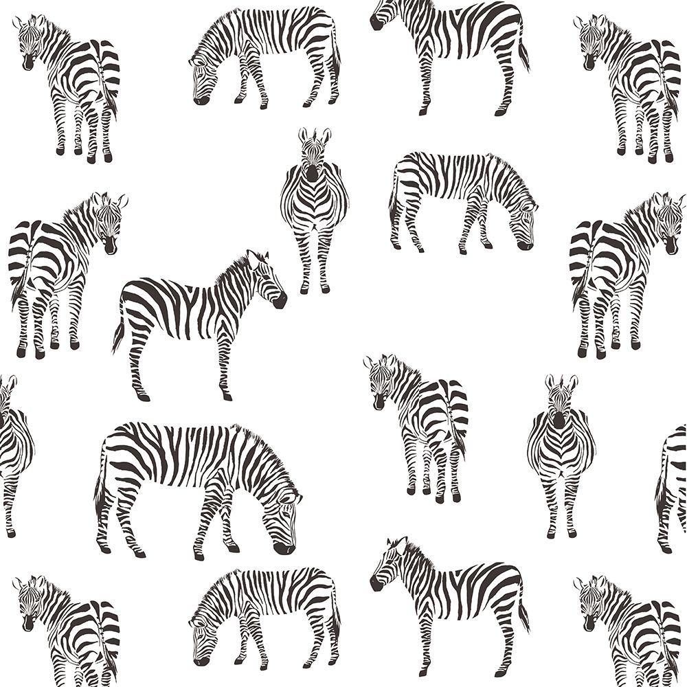 Zebra Zebra V2 art print by Kimberly Allen for $57.95 CAD