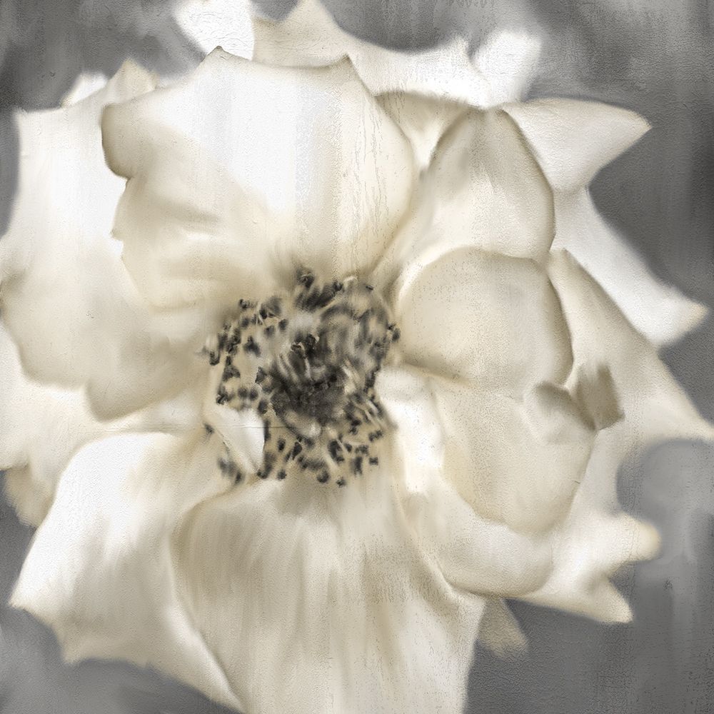 Golden Rose art print by Kimberly Allen for $57.95 CAD