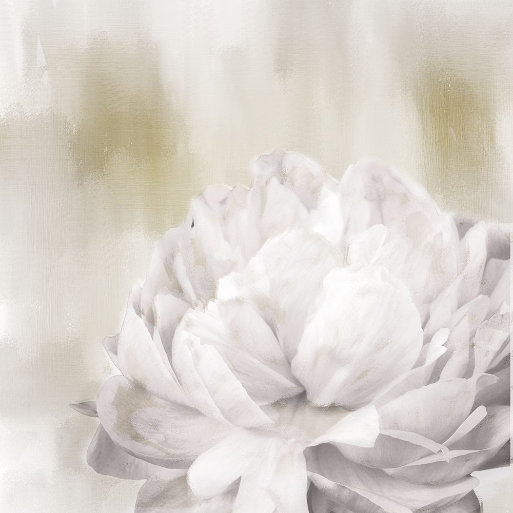 Hidden art print by Kimberly Allen for $57.95 CAD