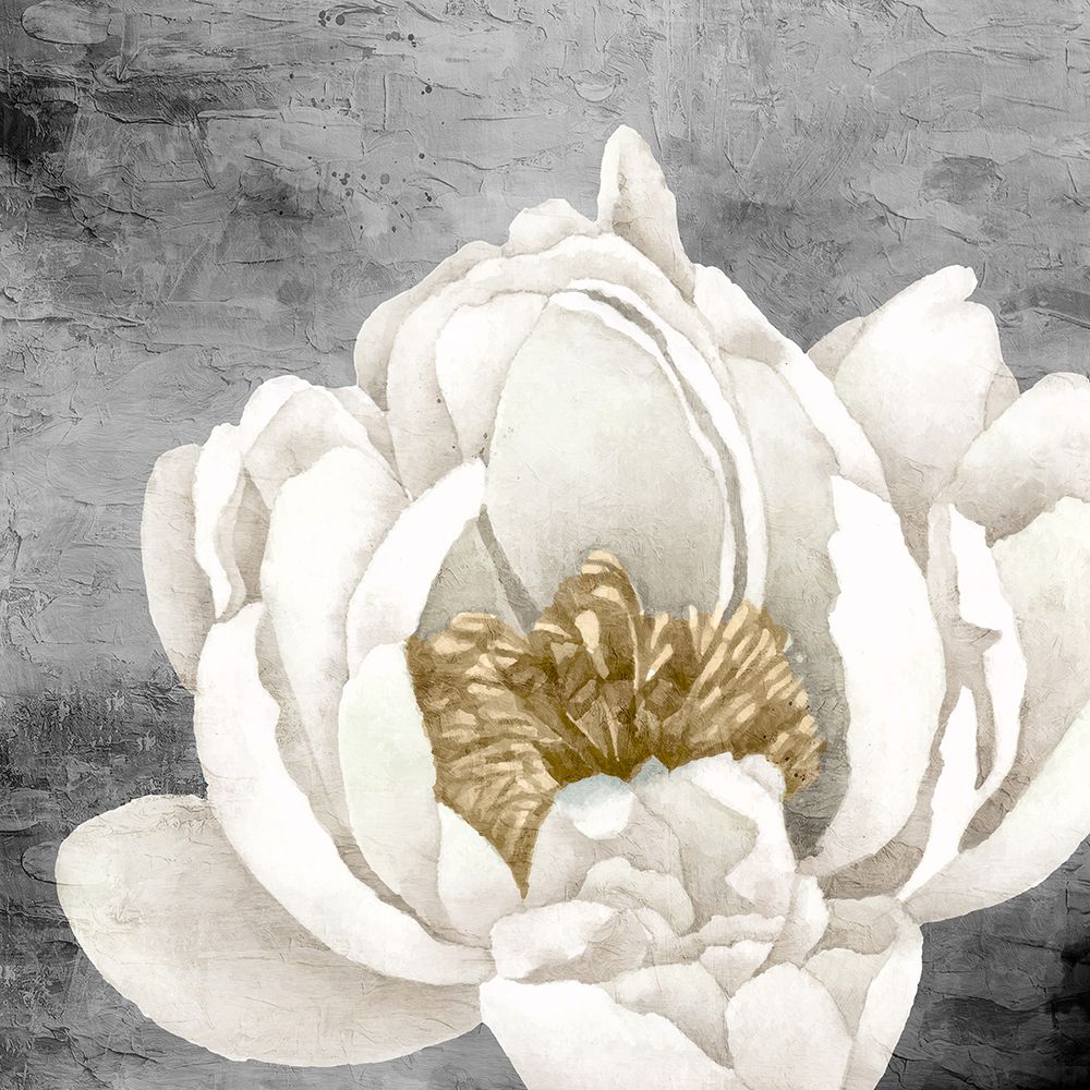 Peony 2 art print by Kimberly Allen for $57.95 CAD