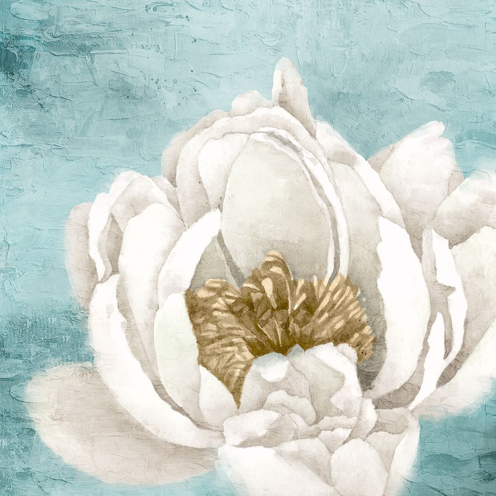 White Peony 1 art print by Kimberly Allen for $57.95 CAD