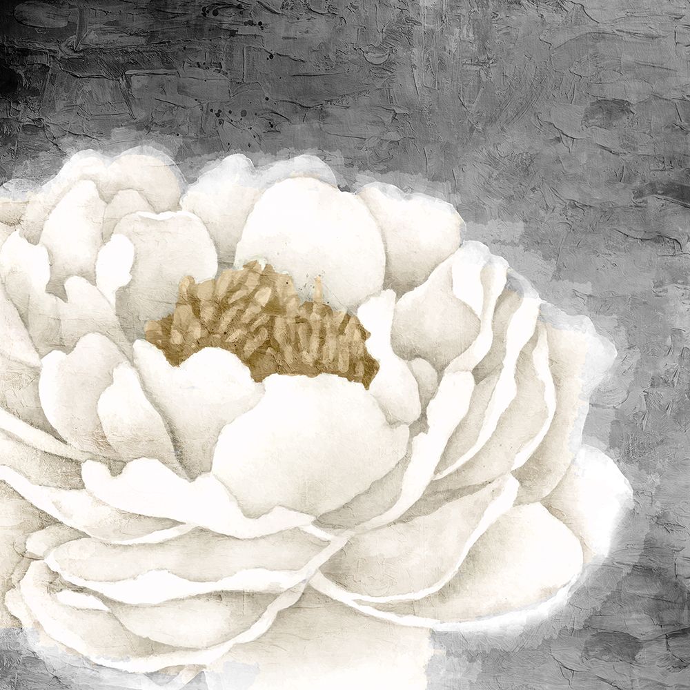 White Peony art print by Kimberly Allen for $57.95 CAD