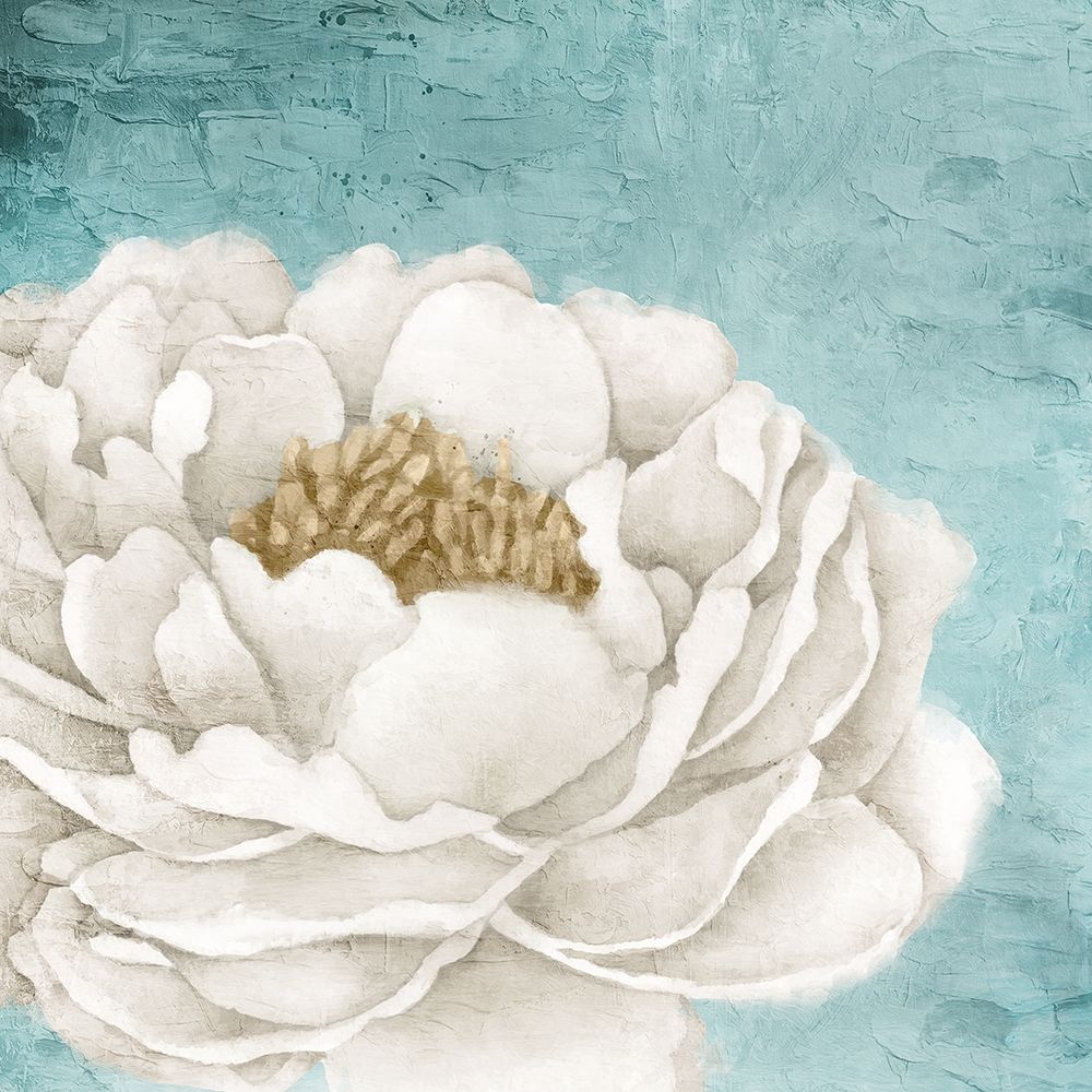 White Peony 2 art print by Kimberly Allen for $57.95 CAD