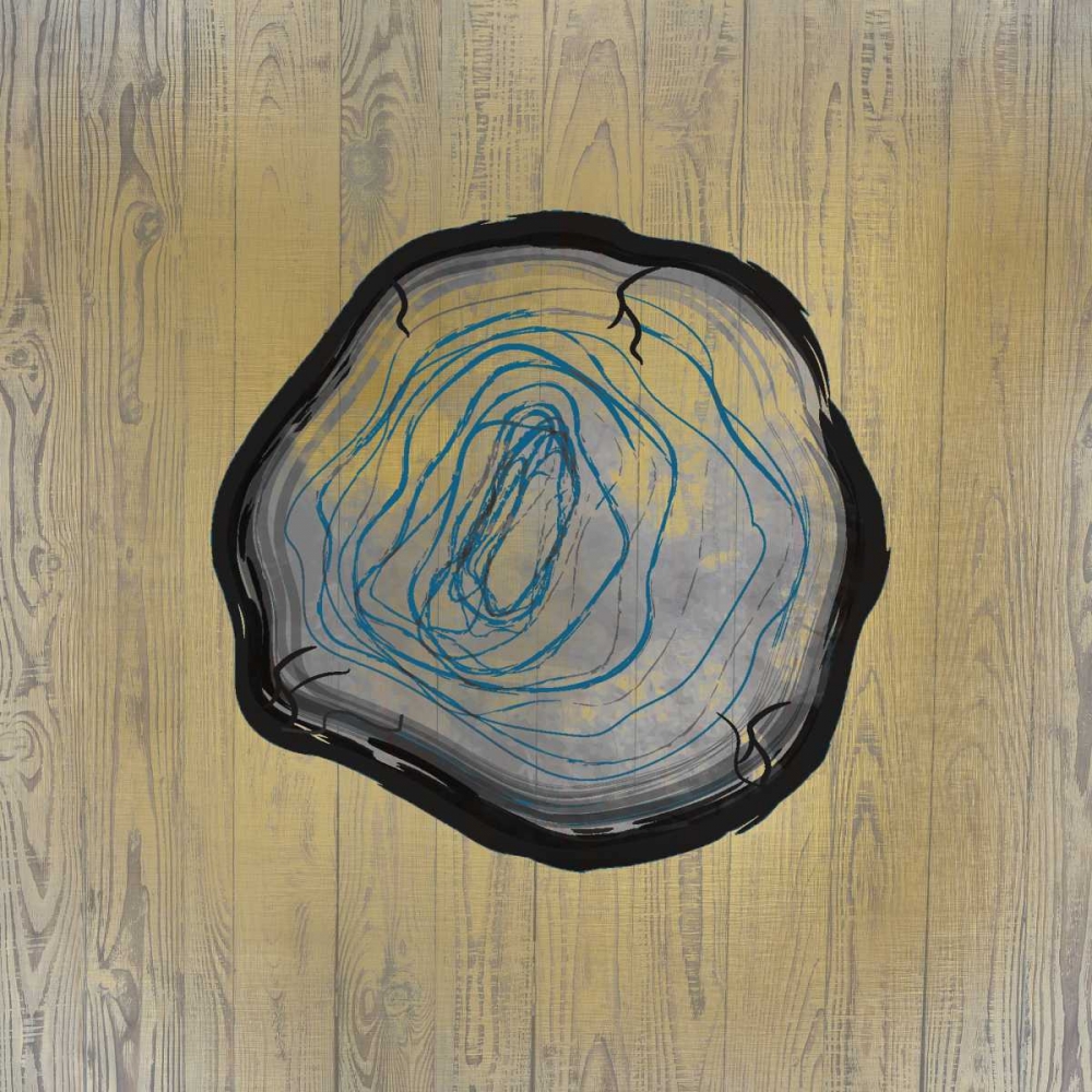 Country Minerals 3 art print by Kimberly Allen for $57.95 CAD