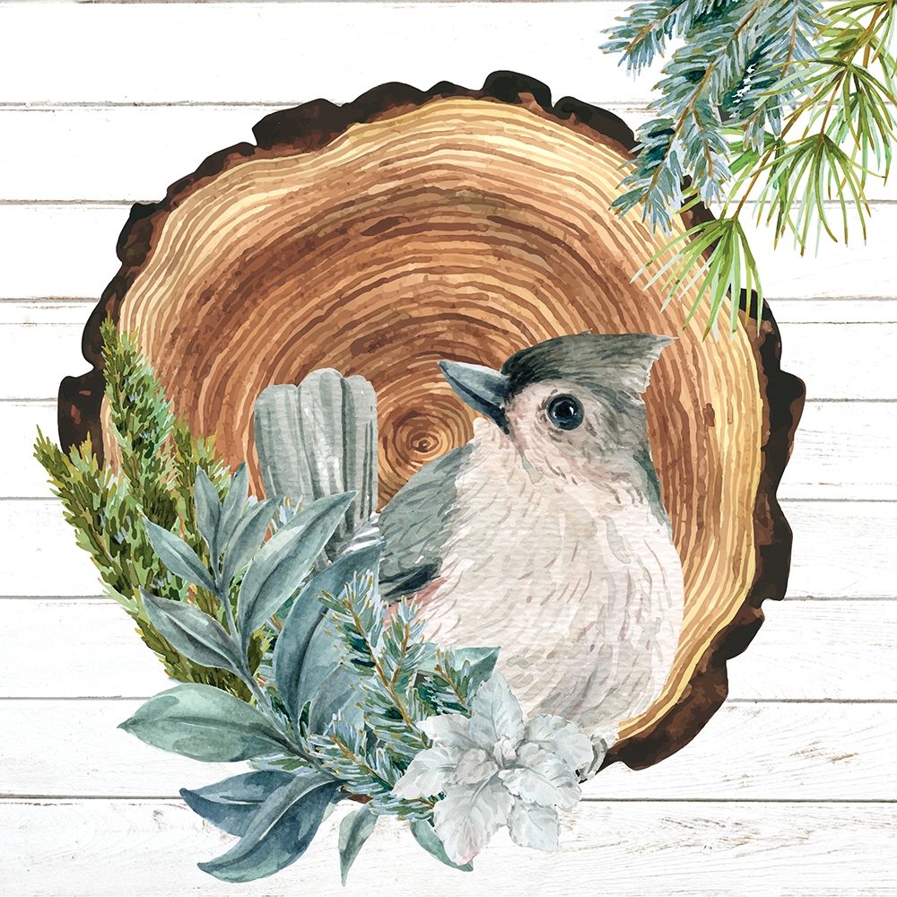 Winter Birds 1 art print by Kimberly Allen for $57.95 CAD