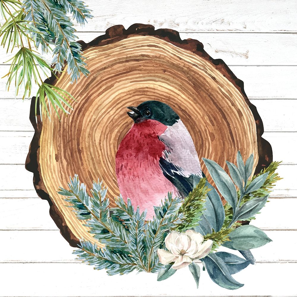 Winter Birds 3 art print by Kimberly Allen for $57.95 CAD
