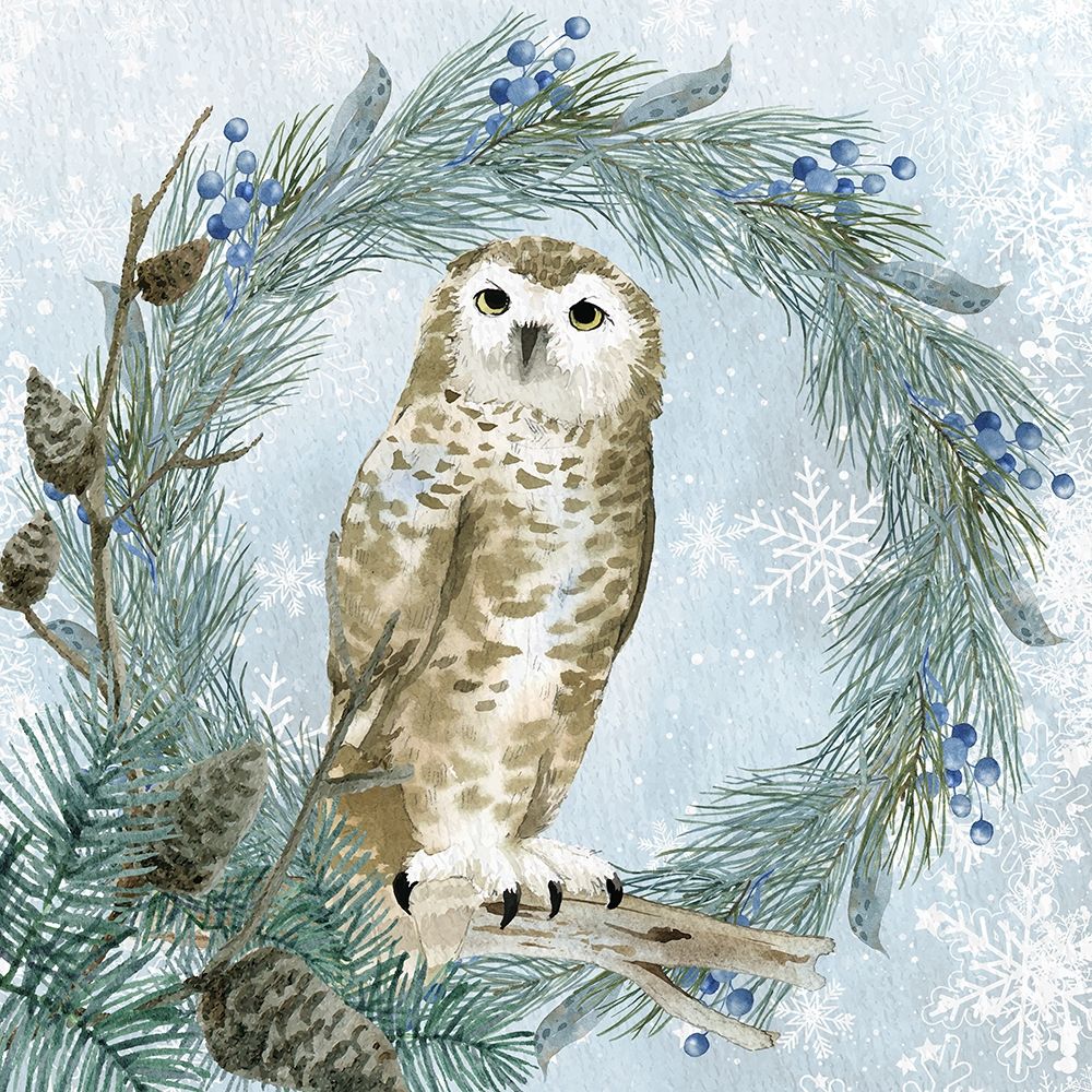 Winter Owl 3 art print by Kimberly Allen for $57.95 CAD