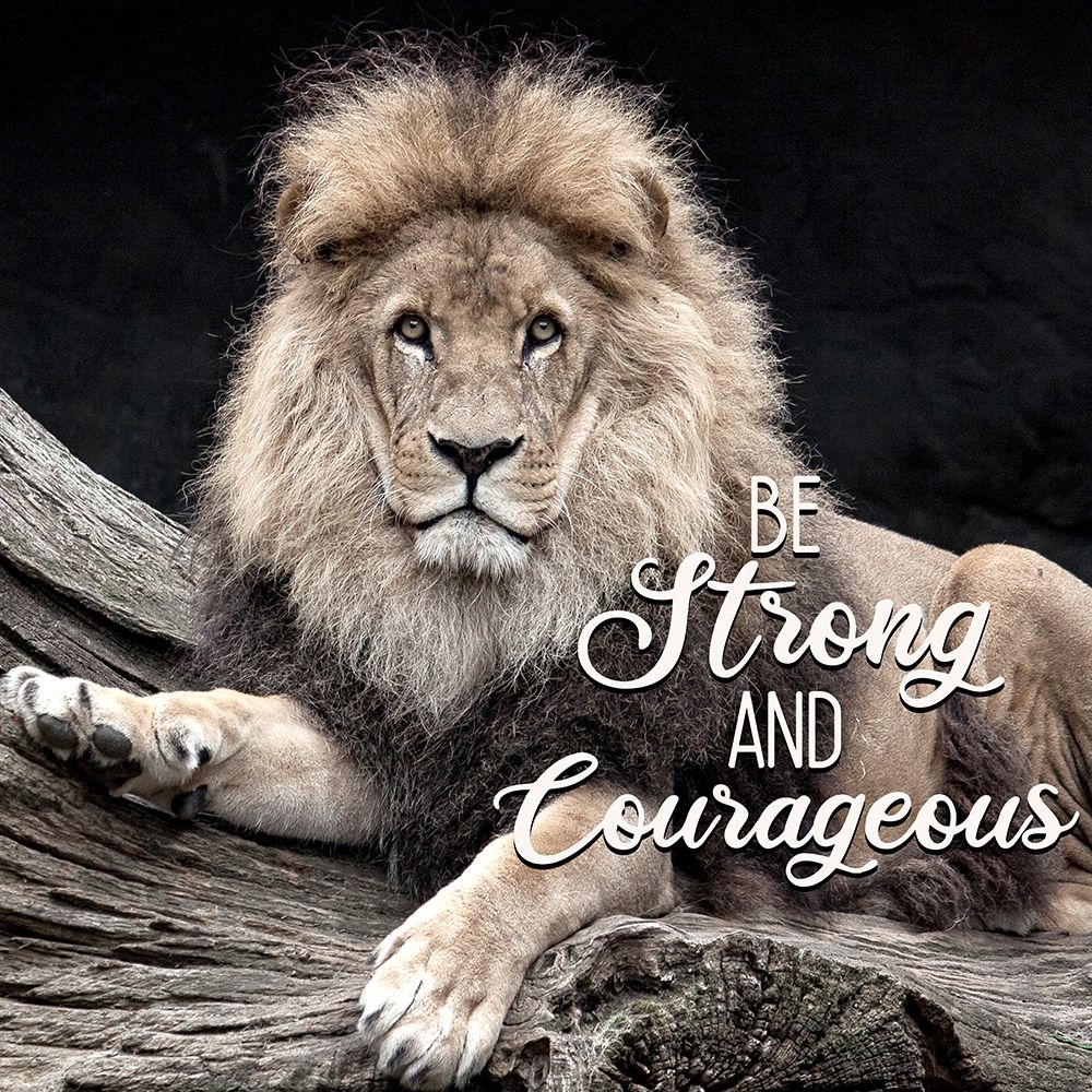 Be Strong Lion art print by Kimberly Allen for $57.95 CAD