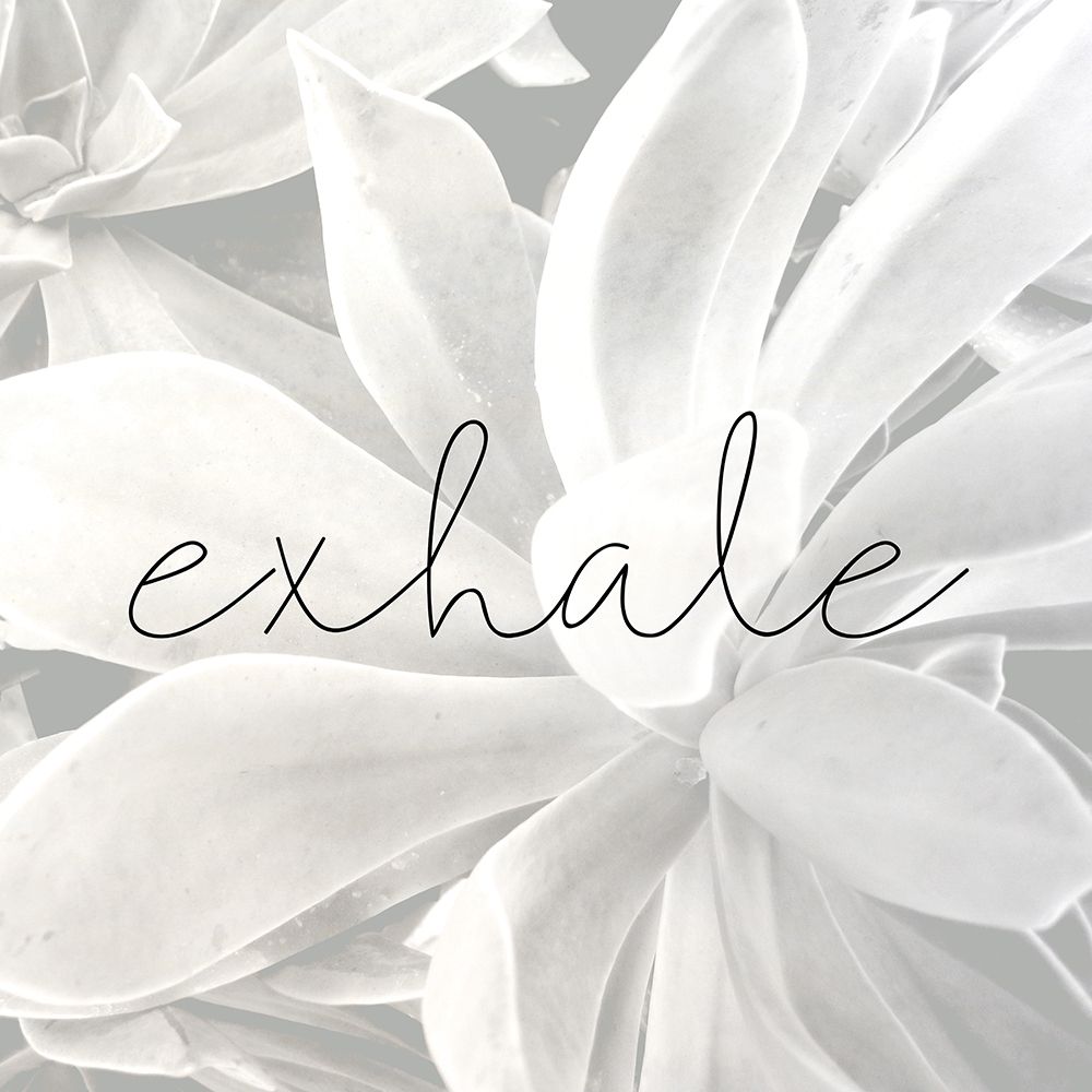 Exhale Gray art print by Kimberly Allen for $57.95 CAD