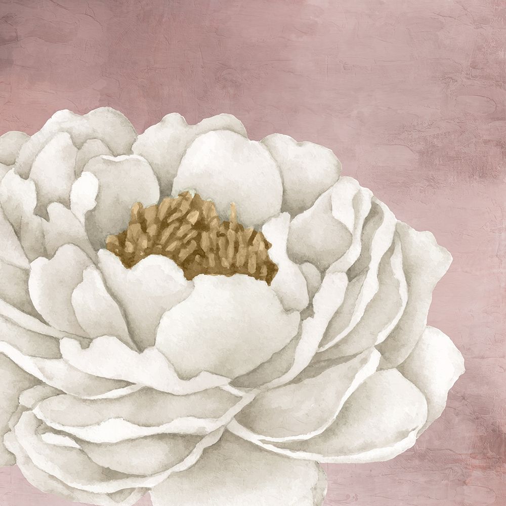 All 3 art print by Kimberly Allen for $57.95 CAD