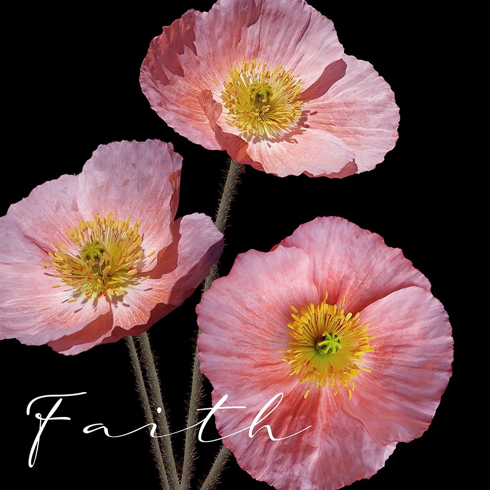 Faith Pink art print by Kimberly Allen for $57.95 CAD