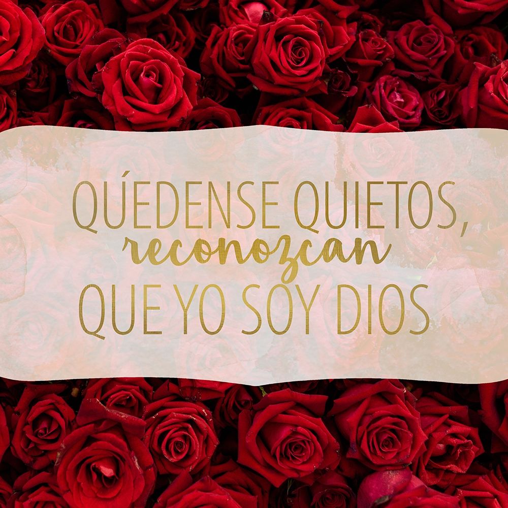 Ha Hecho Todo 2 art print by Kimberly Allen for $57.95 CAD
