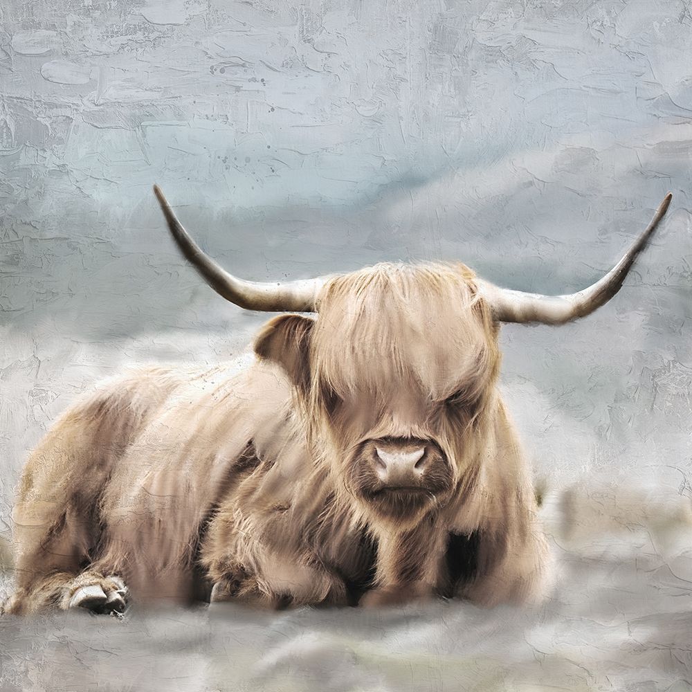 Highland art print by Kimberly Allen for $57.95 CAD