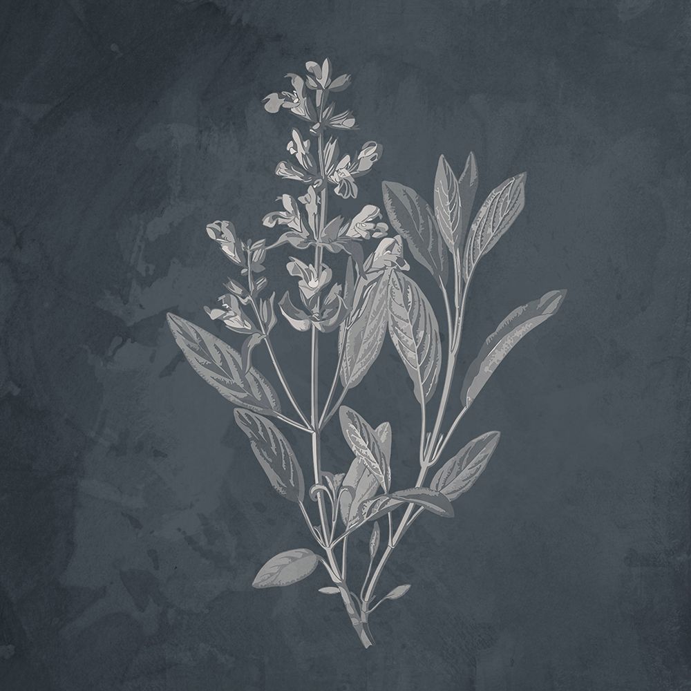 Plant 1 art print by Kimberly Allen for $57.95 CAD