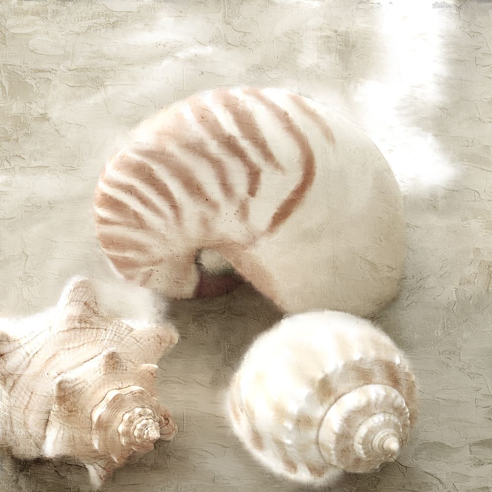 In the Sand art print by Kimberly Allen for $57.95 CAD