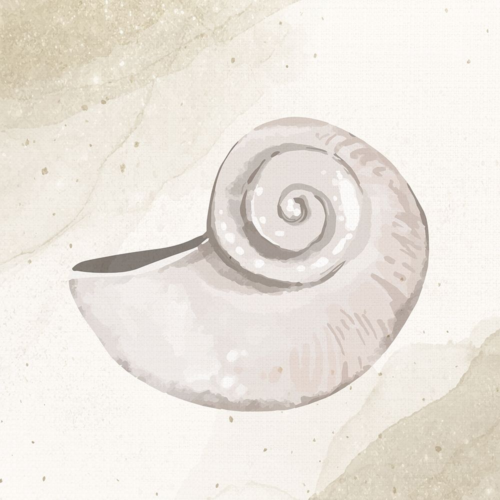 Calming Shell 1 art print by Kimberly Allen for $57.95 CAD