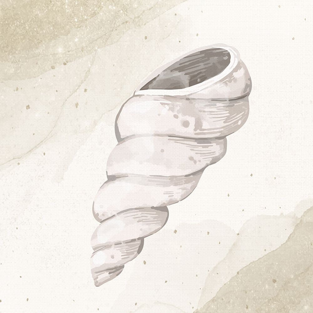 Calming Shell 3 art print by Kimberly Allen for $57.95 CAD