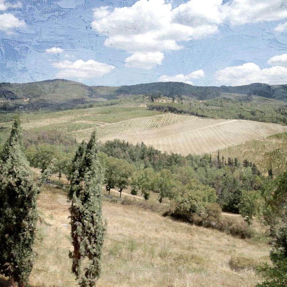 Tuscan Field art print by Kimberly Allen for $57.95 CAD