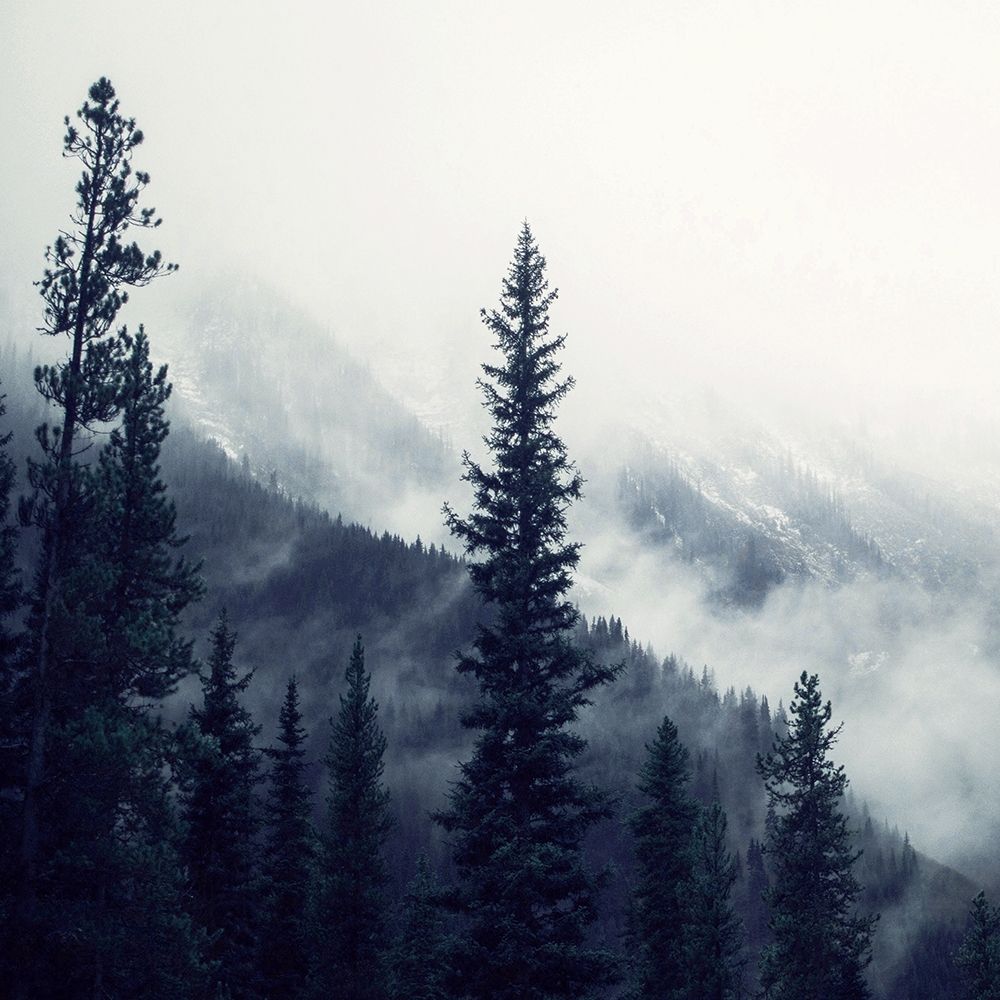 Mountain Heights 1 art print by Kimberly Allen for $57.95 CAD