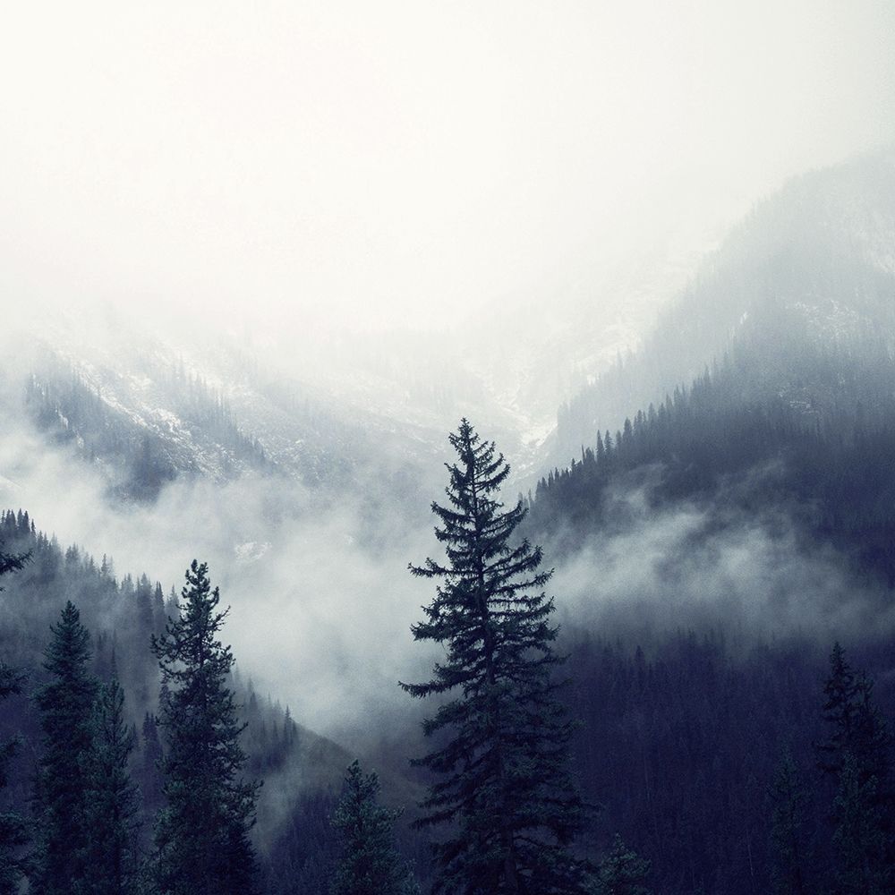 Mountain Heights 2 art print by Kimberly Allen for $57.95 CAD