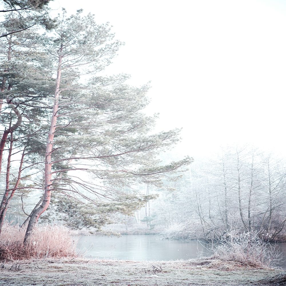 Silence art print by Kimberly Allen for $57.95 CAD