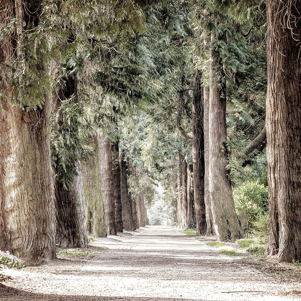 Path art print by Kimberly Allen for $57.95 CAD