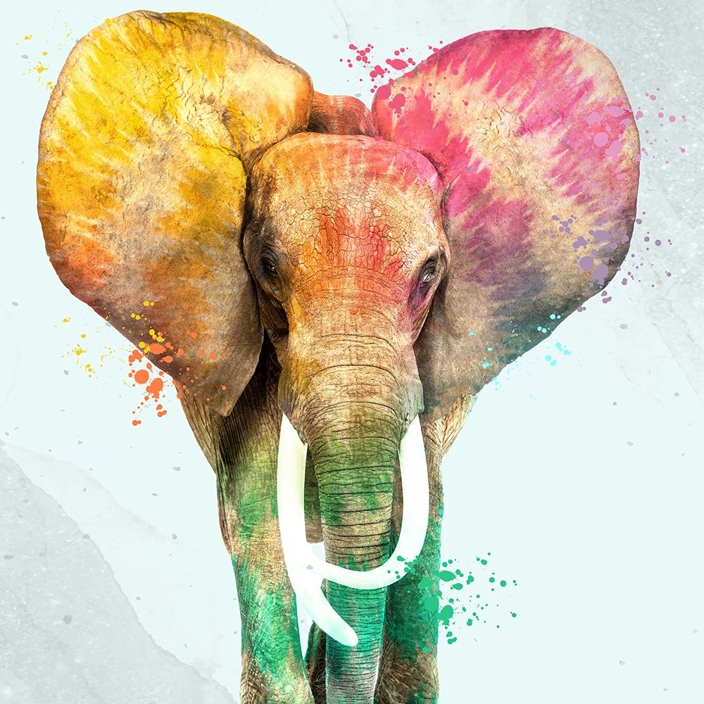 Tie Die Elephant 2 art print by Kimberly Allen for $57.95 CAD