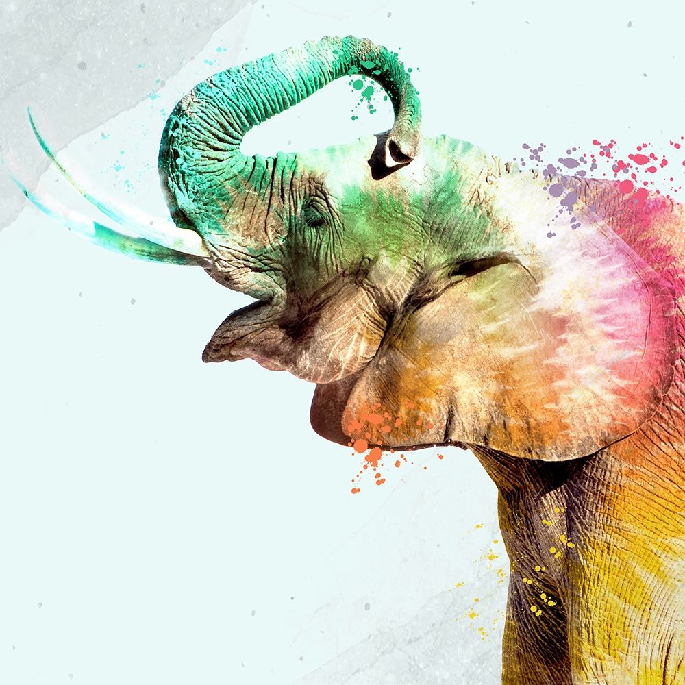 Tie Die Elephant 3 art print by Kimberly Allen for $57.95 CAD