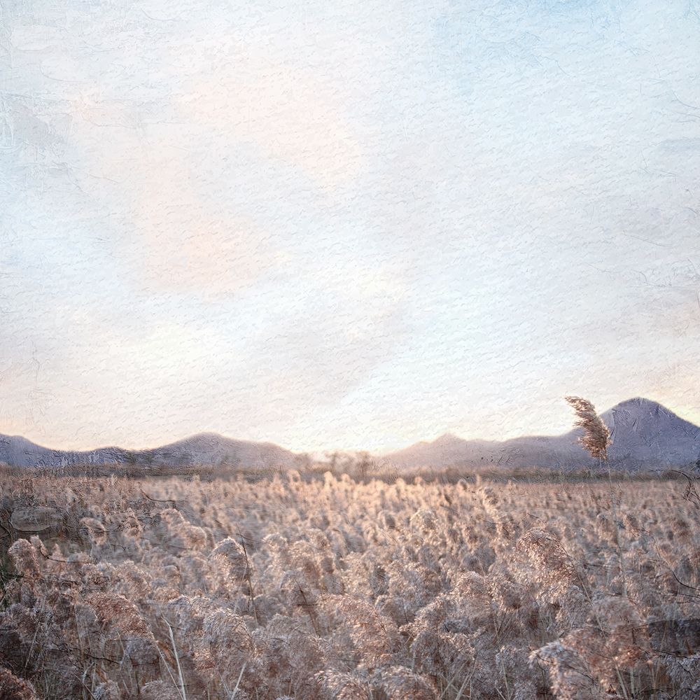 Field art print by Kimberly Allen for $57.95 CAD