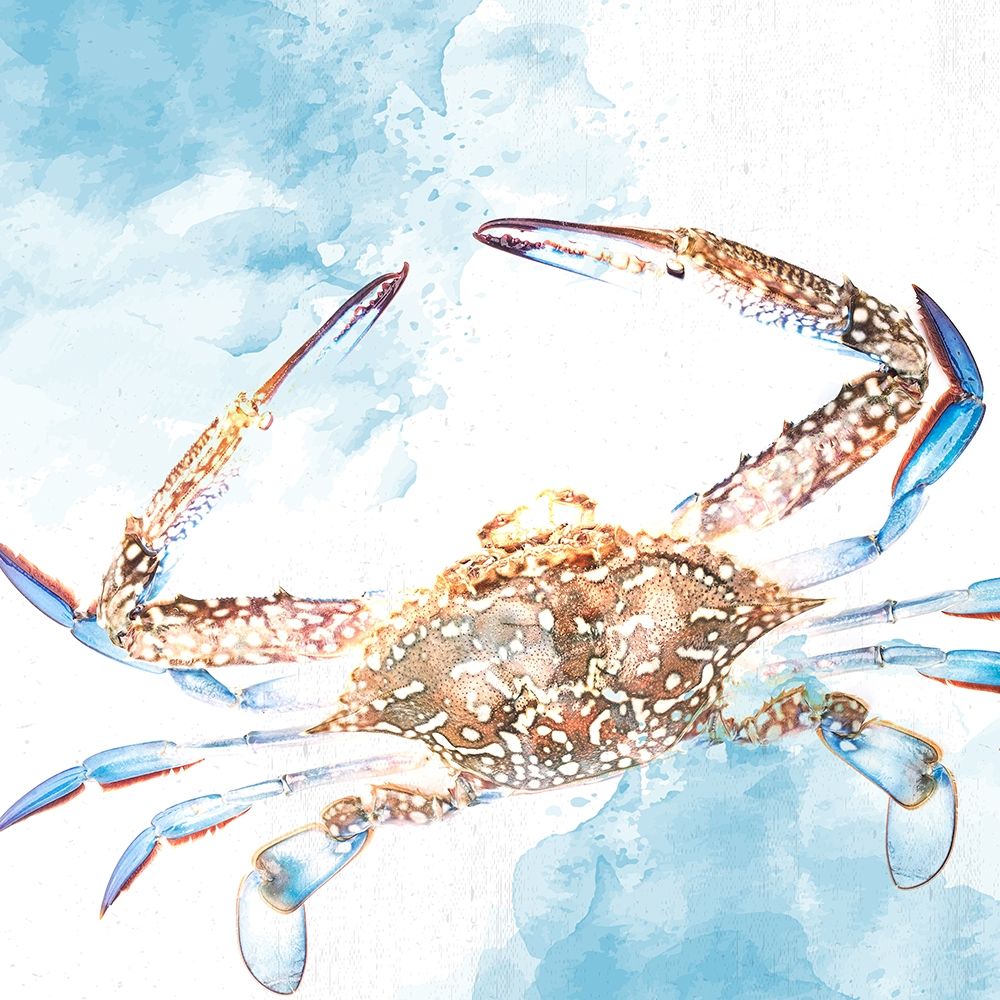 Crab art print by Kimberly Allen for $57.95 CAD