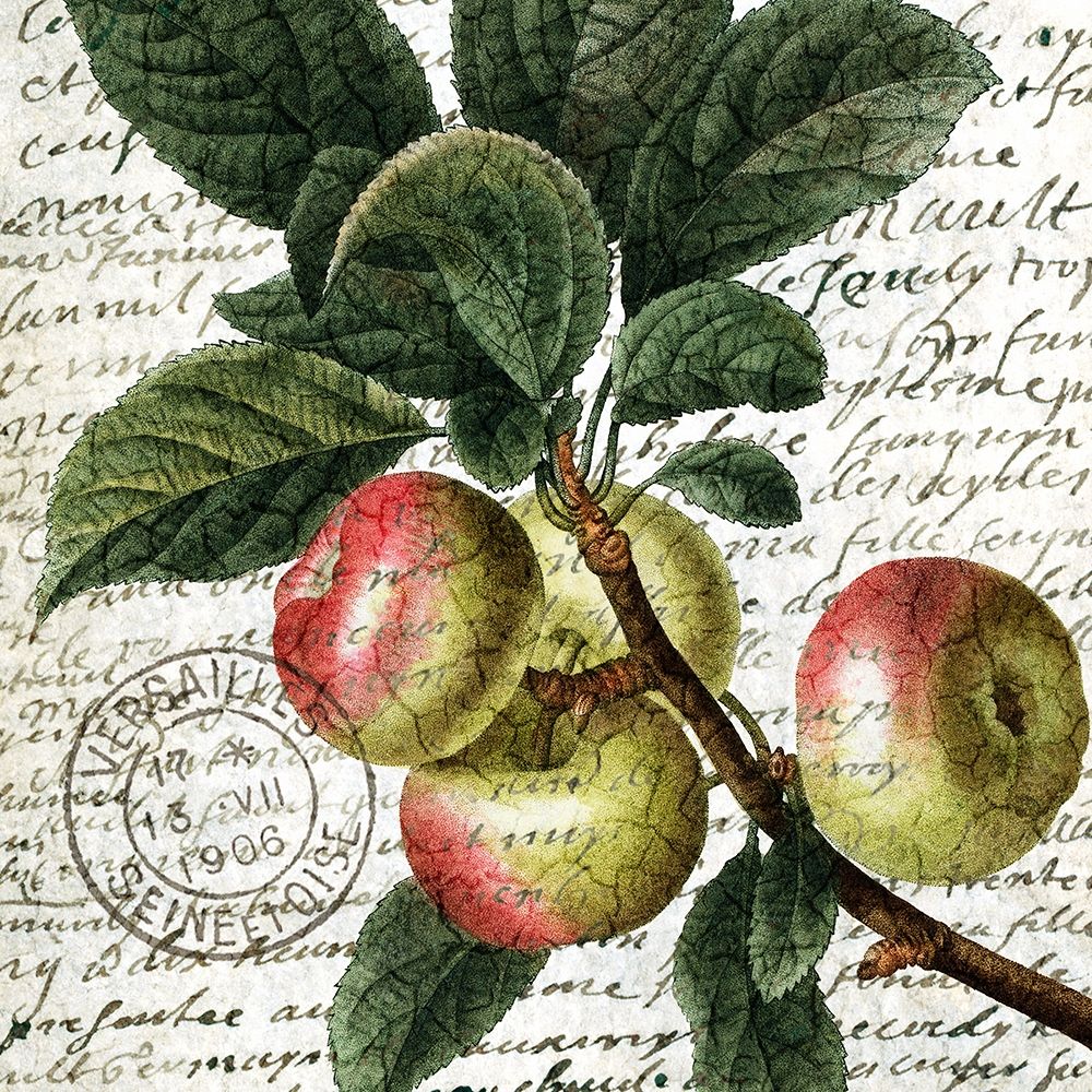 Fruit Picking 3 art print by Kimberly Allen for $57.95 CAD