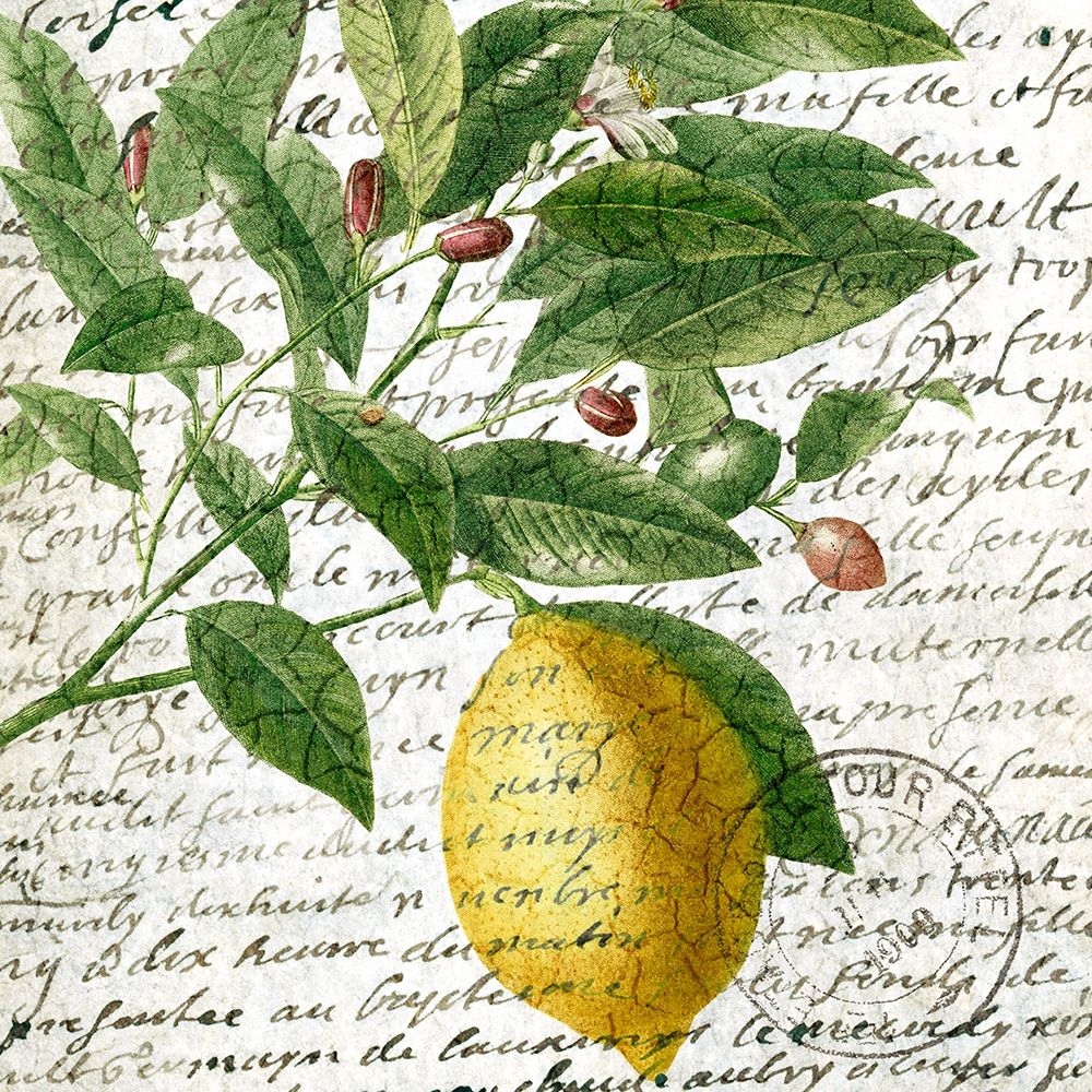 Fruit Picking 4 art print by Kimberly Allen for $57.95 CAD