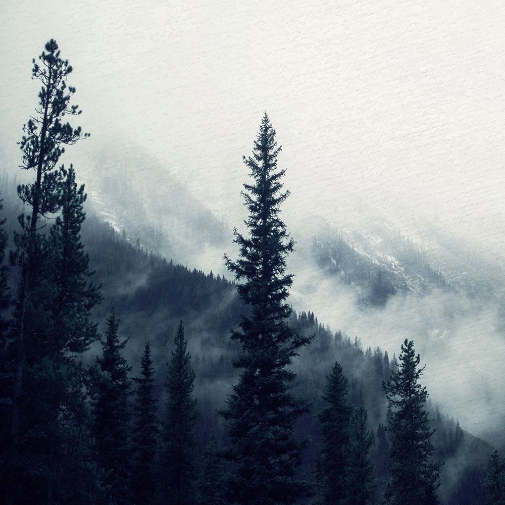 Navy Forest 1 art print by Kimberly Allen for $57.95 CAD