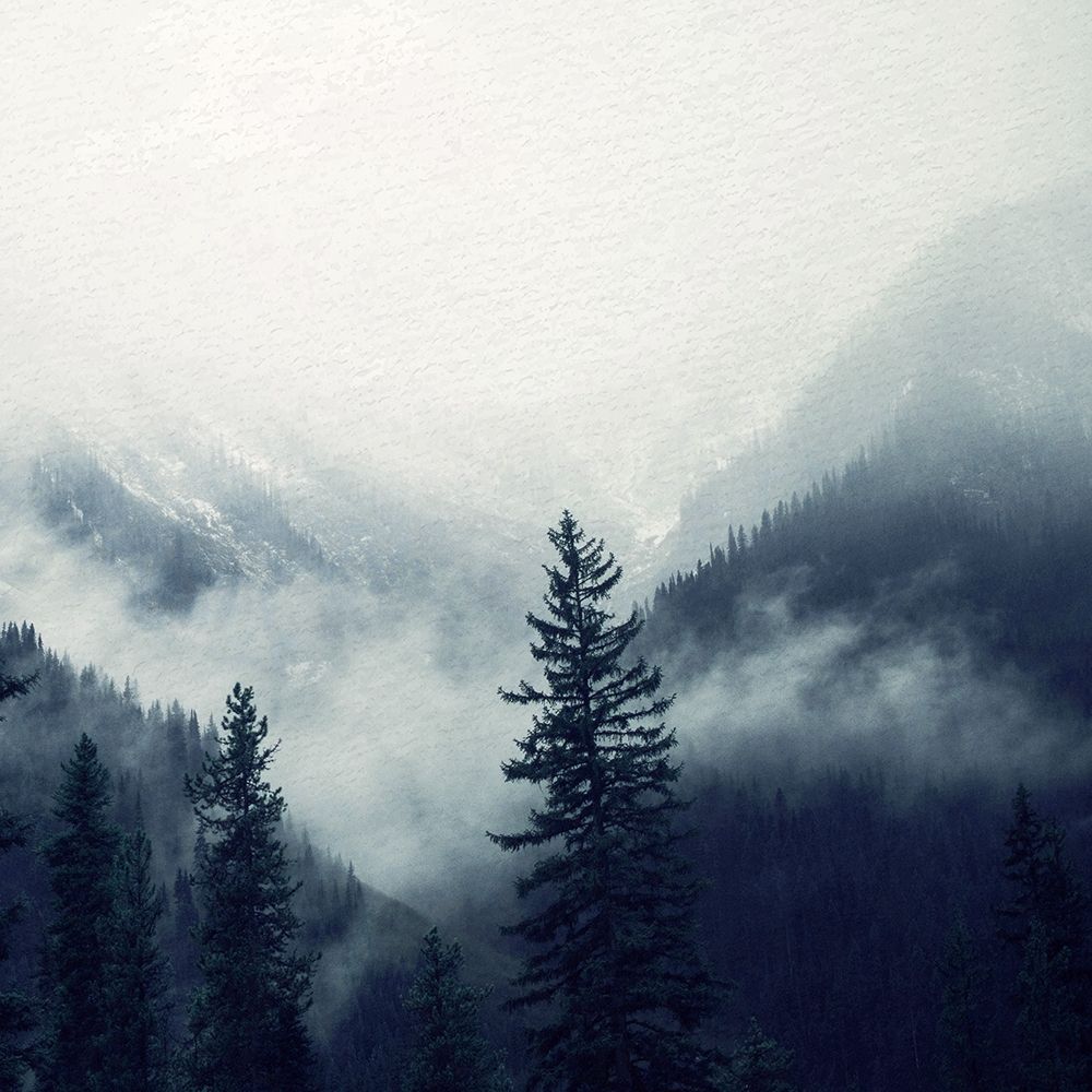 Navy Forest 2 art print by Kimberly Allen for $57.95 CAD