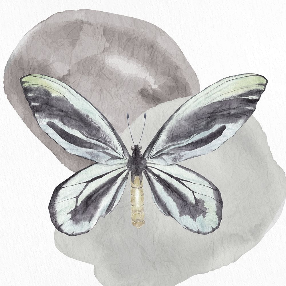 Watercolor Butterfly 2 art print by Kimberly Allen for $57.95 CAD