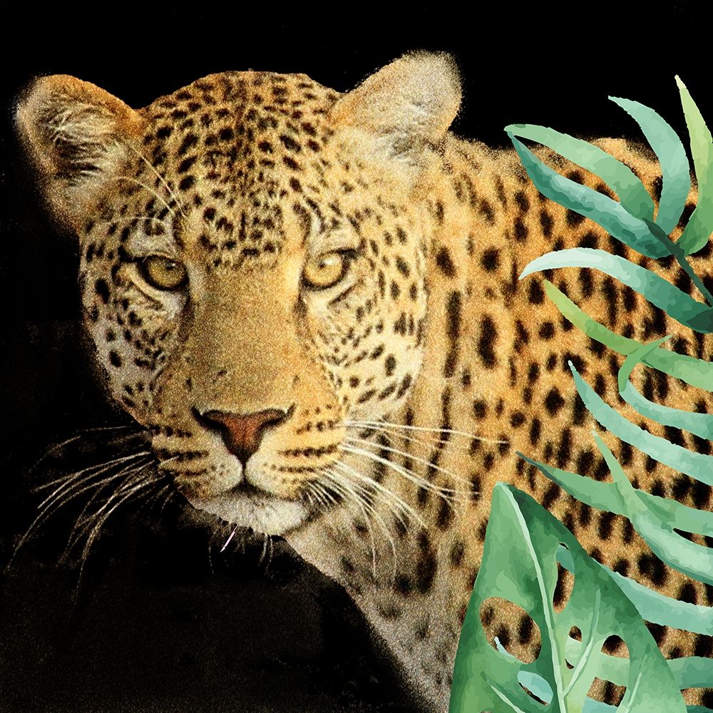 Wild 2 art print by Kimberly Allen for $57.95 CAD