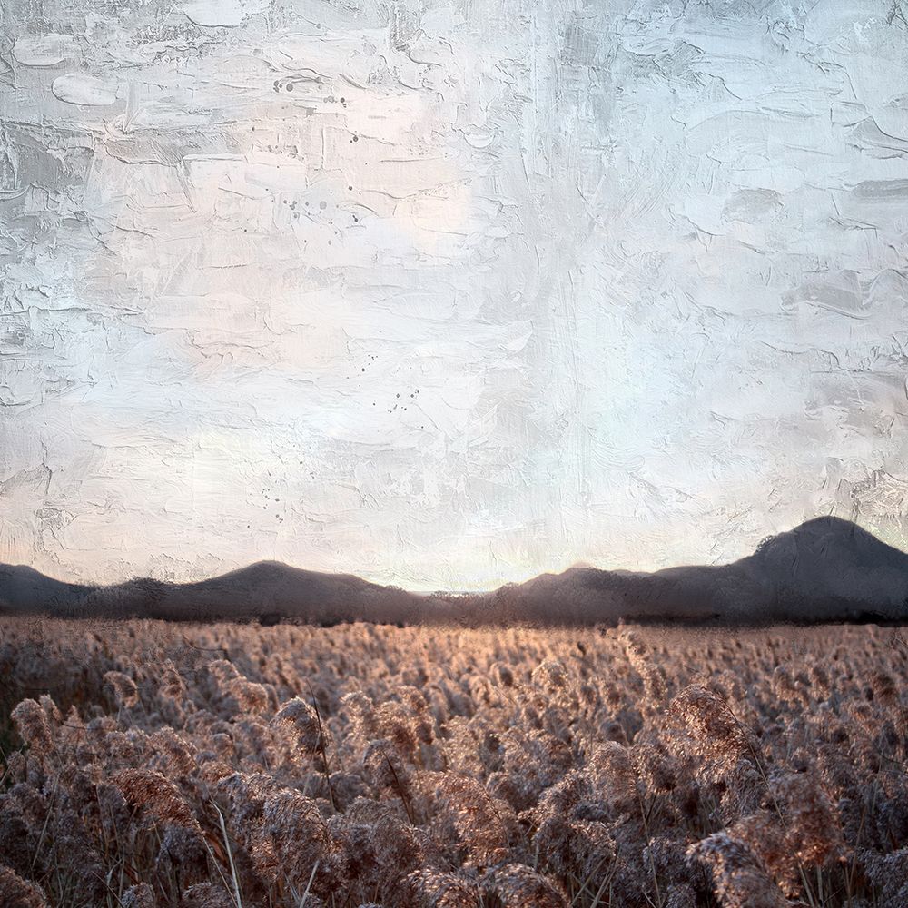 In the Fields art print by Kimberly Allen for $57.95 CAD